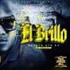 Download track Tamo A Lo Loco (Dalmata)