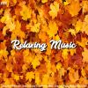 Download track Beautiful Relaxing For Stress Relief