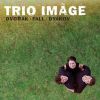 Download track Piano Trio No. 3, In F Minor, Op. 65: I. Allegro Ma Non Troppo