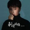 Download track 刺骨的伤 (Dj彭锐版伴奏)