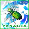 Download track La Panacea