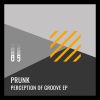 Download track Perception Of Groove (Djebali Remix)