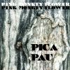 Download track Pica Pau