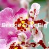 Download track Bridge Over Big