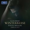 Download track Winterreise, Op. 89, D. 911 No. 15, Die Krähe (Live)