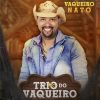 Download track Vaqueiro Pegador (Cover)