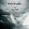 Download track Wild Weather