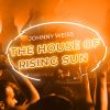 Download track The House Of Rising Sun (Disco Mix)