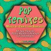 Download track Pop Remixes Megamix (Continuous Mix)