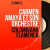 Download track Colombiana Flamenca