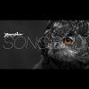 Download track Suite Songbird