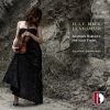 Download track Violin Partita No. 6 In A Major: XI. Aria Variata