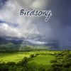 Download track Birdsong At Dawn