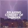 Download track A Thunderstorm's Work Of Art