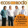 Download track El Rey De La Carretera