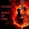 Download track Cinaed - Crunchy Blues