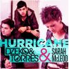 Download track Hurricane (Radio Edit)