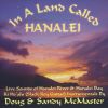 Download track Sunset Hawaii Nei