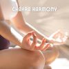 Download track Classical Yoga Music