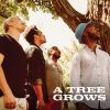 Download track A Tree Grows