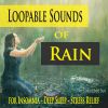 Download track Soft Rain Hitting The Wet Ground