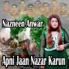 Download track Apni Jaan Nazar Karun