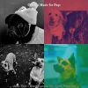 Download track Fabulous Dogs