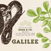 Download track Galilee