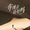 Download track 你现在还好吗