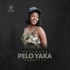 Download track Motho Wa Mehlolo