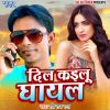 Download track Dil Kailu Ghayal