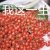 Download track 另类这条路 (伴奏)