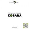 Download track How To Confuse A Cat (Kobana Remix)