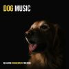 Download track Anti Stress Frequency For Dogs 221 Hz