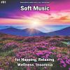 Download track Wellness Music For The Hospital