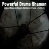 Download track Sacred Sounds Of The Shaman