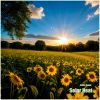 Download track Solar Heat