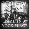 Download track Hog Wild