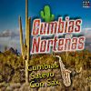 Download track La Cumbia Del Indio