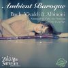 Download track Sonata In D Minor, Op. 6 No. 4: II. Larghetto (Arr. By Yuki Ato Narayan For Solo Recorder)