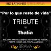 Download track Por Lo Que Reste De Vida (In The Style Of Thalia) [A Capella Version]