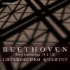 Download track Beethoven: String Quartet No. 13 In B Flat Major, Op. 130: II. Presto