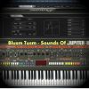 Download track Jupiter 8 Planet 3 (2020 Bonus Track)