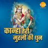 Download track Shree Krishna Govind Hare Murari - 1