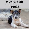 Download track Dog Instrumental Music