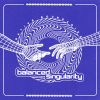 Download track Balanced Singularity