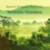 Download track Serenata Huasteca