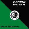 Download track Never Fall In Love (Vocal On Universe Mix)