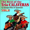 Download track Bailes De Mexico