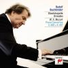 Download track Piano Concerto No. 20 In D Minor, K. 466 III. Rondo. Allegro Assai'